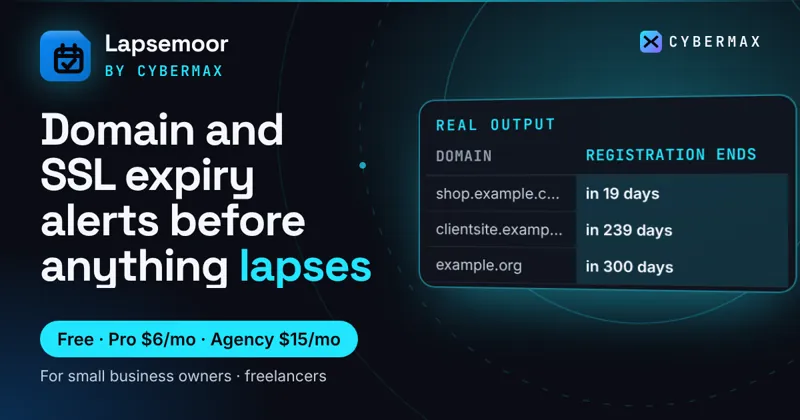 Lapsemoor: Domain and SSL expiry alerts before anything lapses